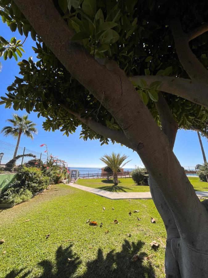 Studio On The Beach Front Malaga Ngoại thất bức ảnh