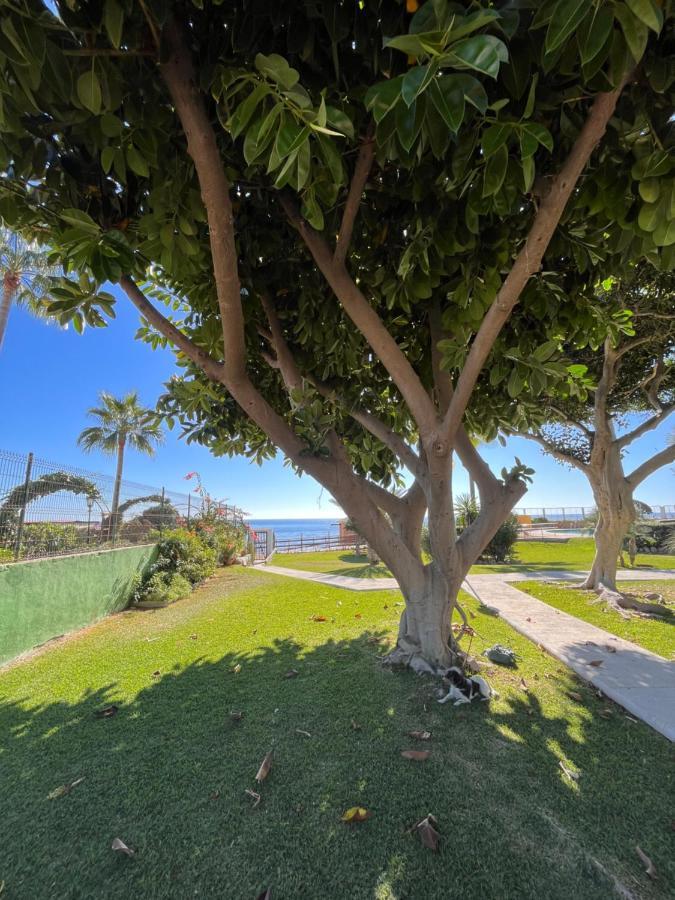 Studio On The Beach Front Malaga Ngoại thất bức ảnh