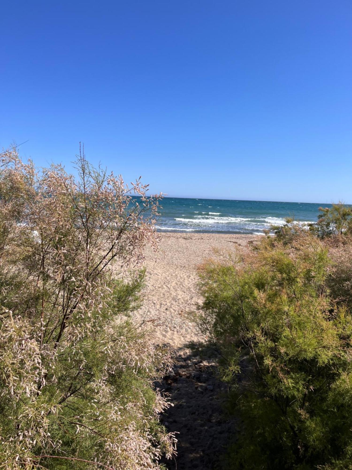 Studio On The Beach Front Malaga Ngoại thất bức ảnh